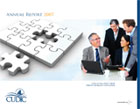 2007 Annual Report